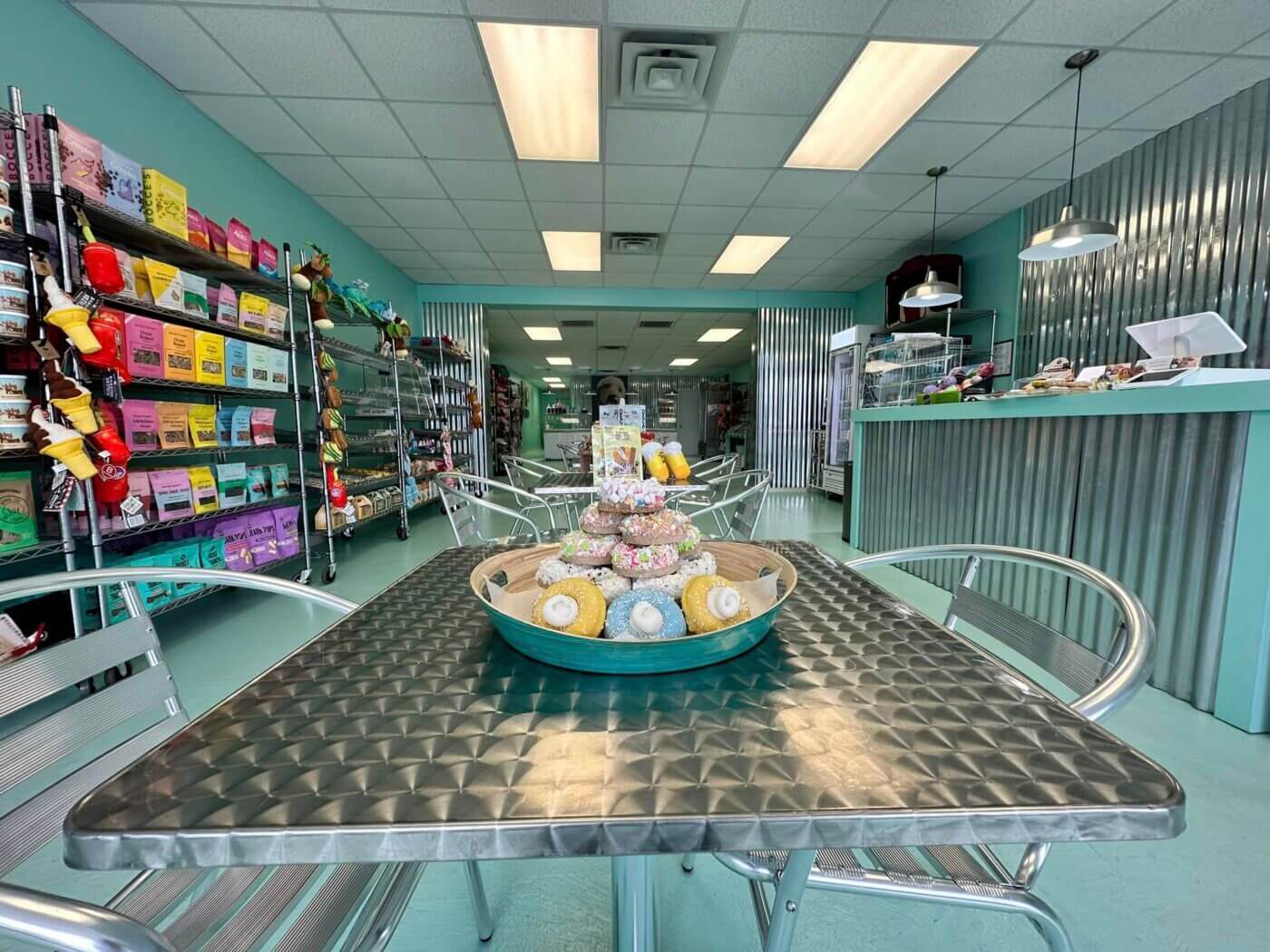 12 Dog-Friendly Beaches That Will Give Your Virginia Pooch the Zoomies