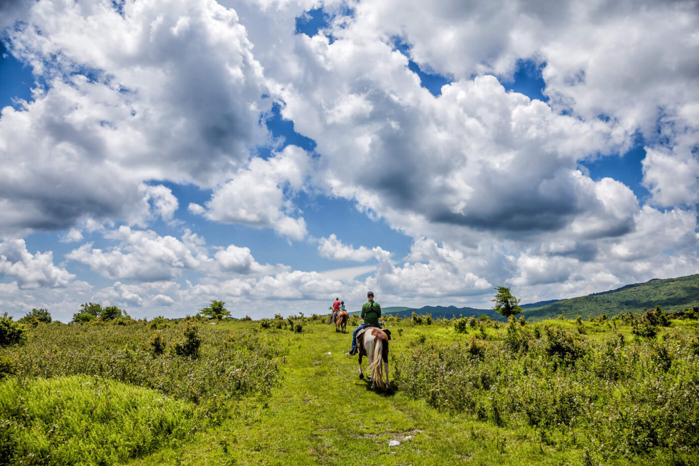 Last-Minute Virginia Day & Overnight Trips to Take Before School Starts