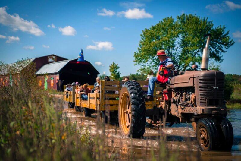 Northern VA's Ultimate Fall Adventure Guide: Hayrides, Orchards, Mazes & More