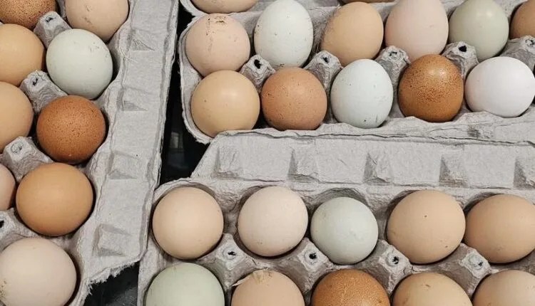 From Farm To Table: Where To Buy The Best Farm-Fresh Eggs In NoVa