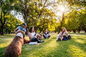 A group of ladies sitting at a dog park in the shade with their dogs.