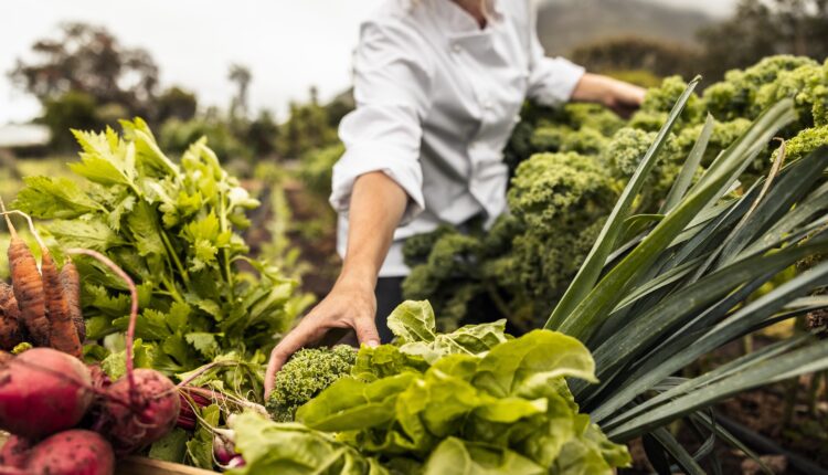 10 best farm-to-table restaurants in Virginia