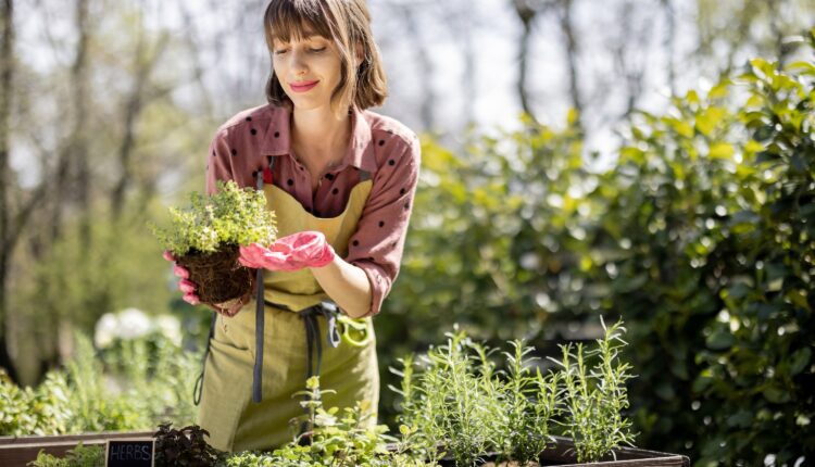 Your guide to container gardening in Virginia