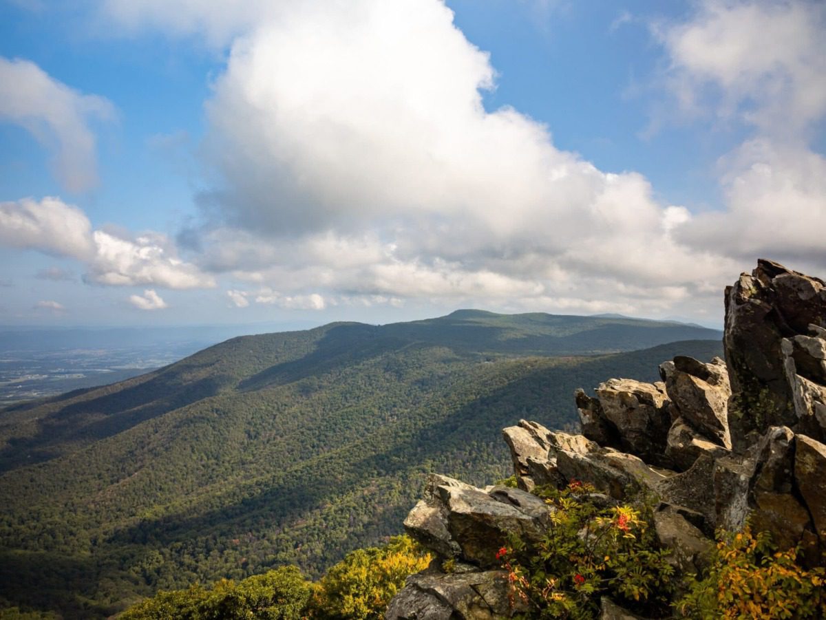Vista from Hawksbill Mountain