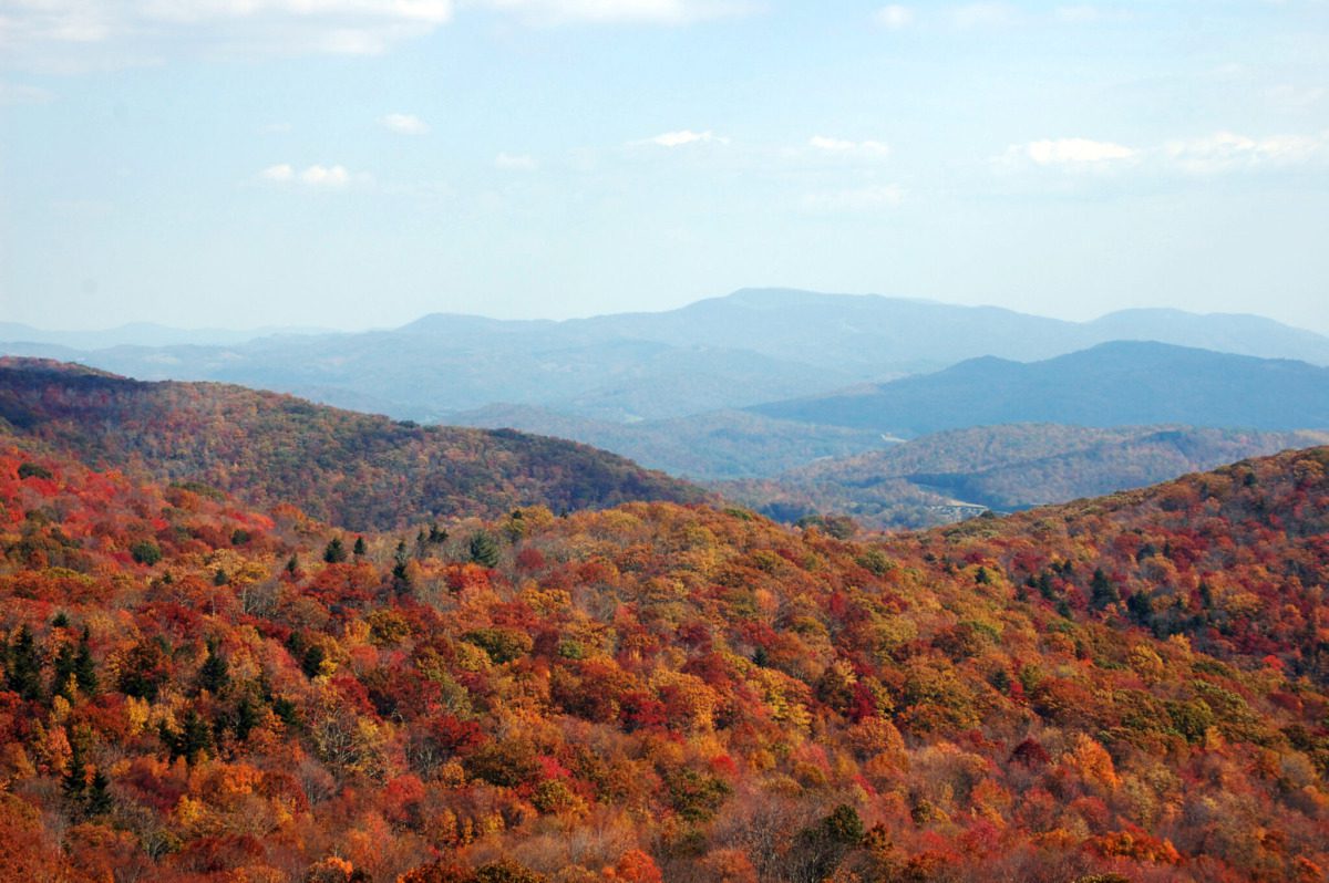 fall in grayson highlands state park 