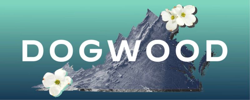 dogwood newsletter edition july 15 2025