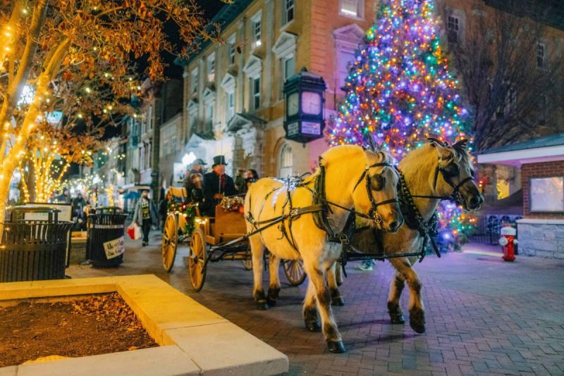 From dazzling light displays and festive parades to horse-drawn carriage rides and holiday treats, there is seasonal fun for the whole family at Virginia’s best winter festivals.