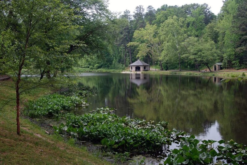 The Harveys are remembered through endowments, runs, and memorials